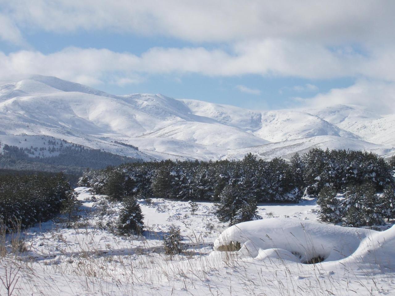 Tinao De Gredos Villa Barajas de Gredos Dış mekan fotoğraf