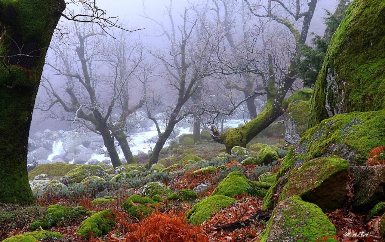 Tinao De Gredos Villa Barajas de Gredos Dış mekan fotoğraf